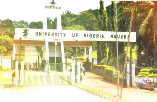 List of courses offered at UNN
